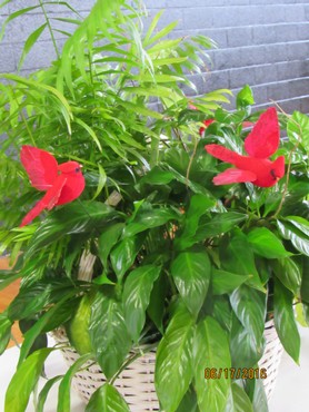 img_0868.jpg