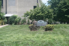 IMG_8672.JPG