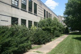 IMG_8675.JPG